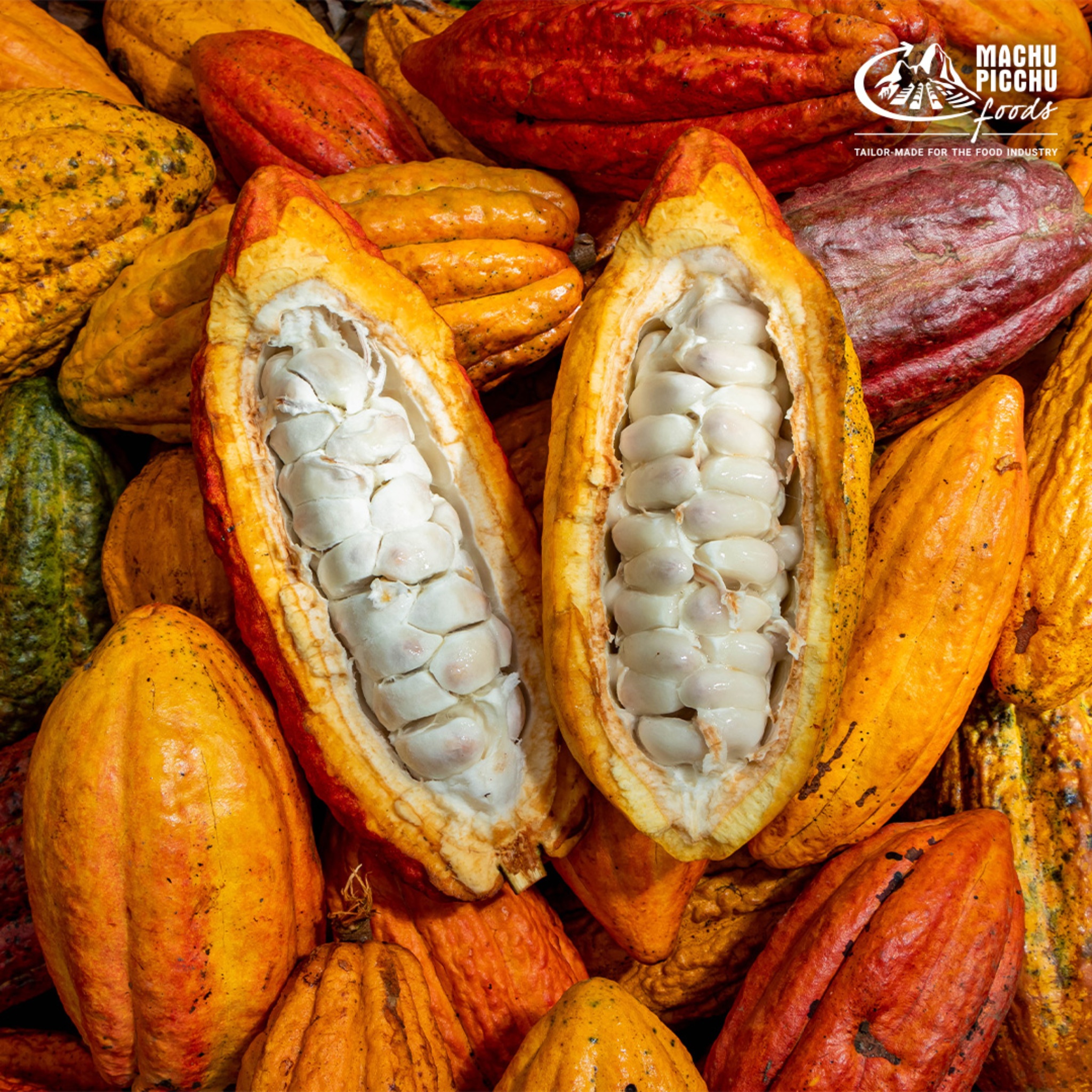 Machu Picchu Foods — Pieza Fotográfica